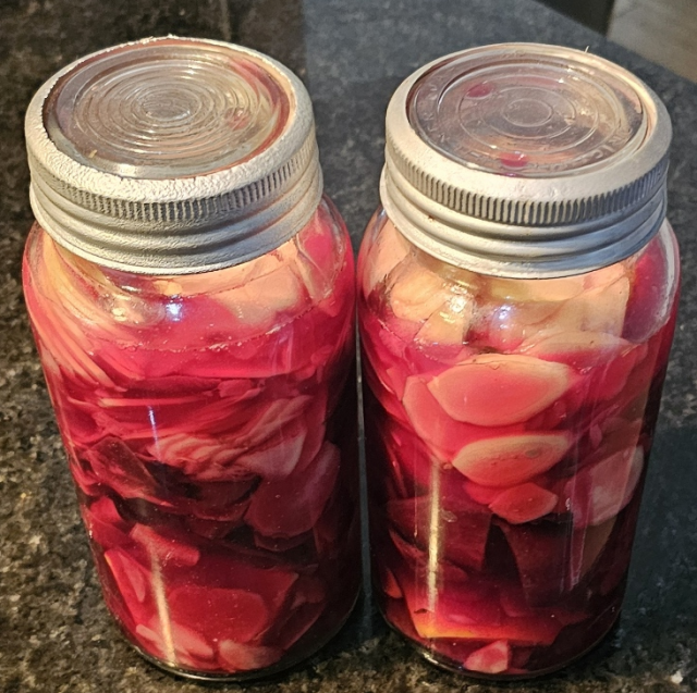 Pickled Ginger